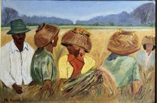 Rice Harvest In Bali_ Original
