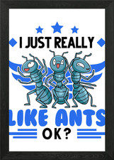 Ants Ant Farm Anthill Fire