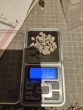 10g bag of crinoids fairy coin star fossils