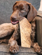 Elk Antler Dog Chew Hard Long