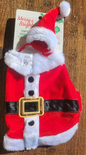 Merry bright puppy small - merry,