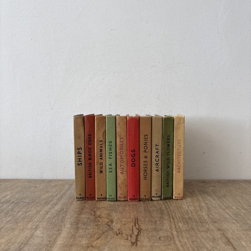 Vintage observers book bundle - observers,