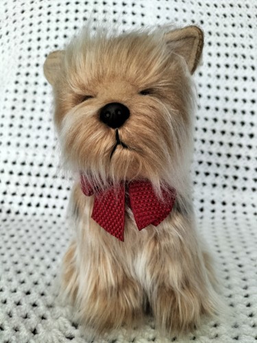 Russ dog teddy - russ, genghis)