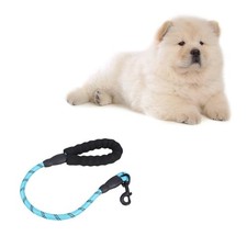  60 Cm Thick Pet Chain