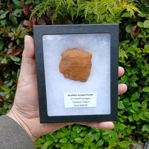 Neolithic tool scraper