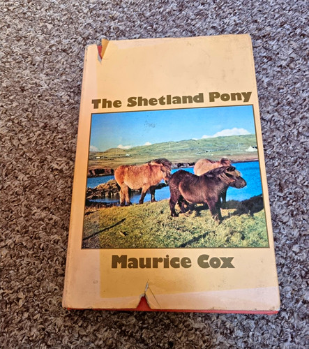 The shetland pony - maurice, cox