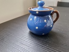 Dartmouth Pottery Blue Polka