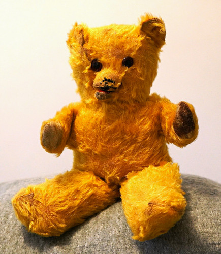 Tara type golden - , open-mouthed