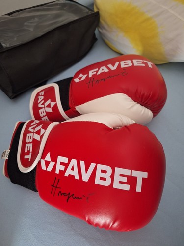 Signed gloves filip - gloves,