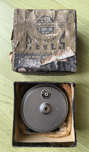 Vintage young condex - vintage, fly