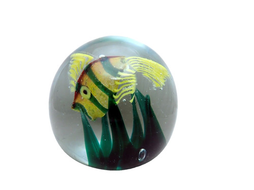 Murano acquarium fish - murano,