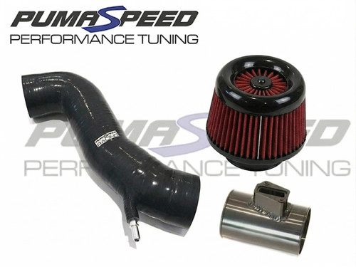Pumaspeed cyclone cold air - cyclone,
