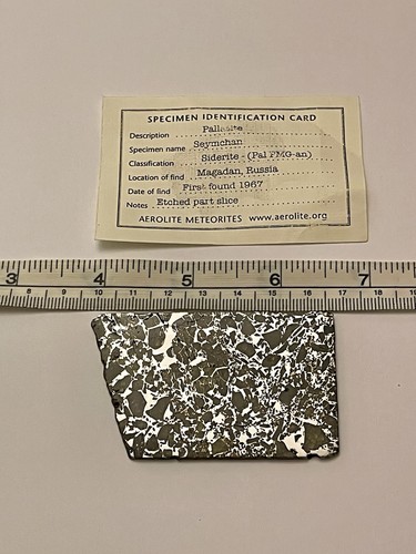 Seymchan pallasite gram - 25.7,