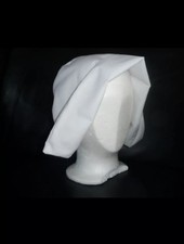 Victorian Tudor fancy dress