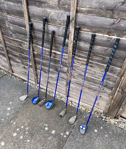Raylor panther gold 7pc - raylor, rh