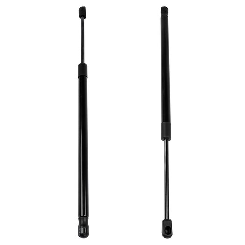 Tailgate boot gas struts - tailgate,