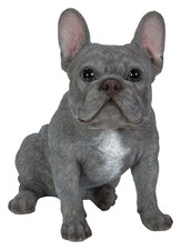 Vivid Arts Blue French Bulldog