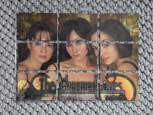 2000 inkworks the charmed ones - 2000,