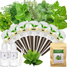 Gourmet Herb Seed Pod Kit for