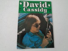 DAVID CASSIDY - OFFICIAL