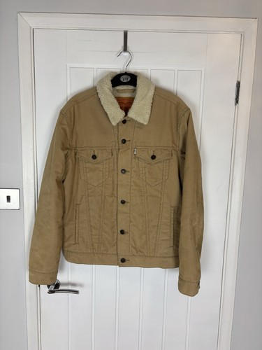 Levi type corduroy - 3,