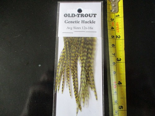 Genetic hackle cock neck - genetic,