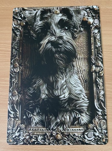 Miniature schnauzer dog - miniature,