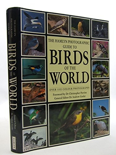Photo guide birds - photo, world
