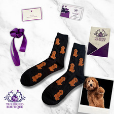 RED LABRADOODLE SOCKS - BLACK