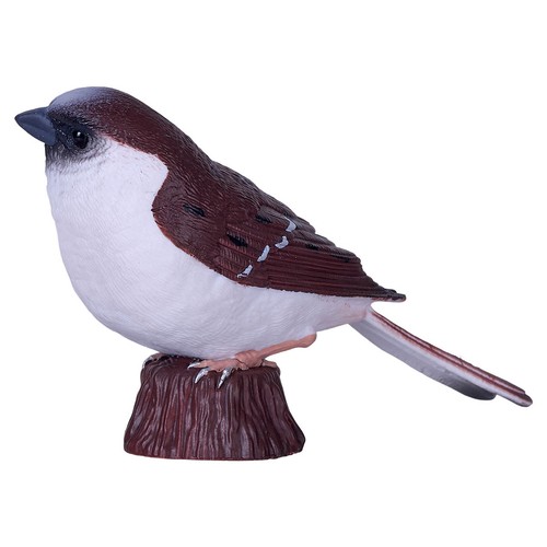 House sparrow bird - sparrow,