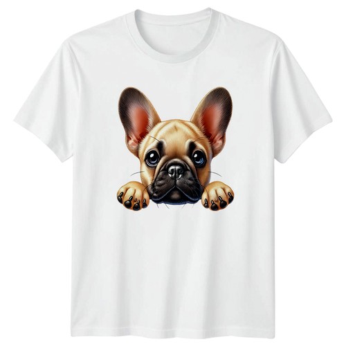 Cute french bulldog - cute, puppy