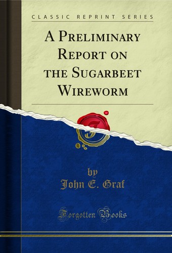 Preliminary report the - preliminary,