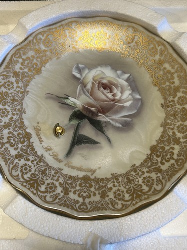 Princess diana rose - princess, diana,