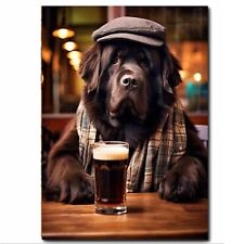 Newfoundland Dog having a