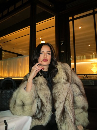 Real arctic fox - fur, coat