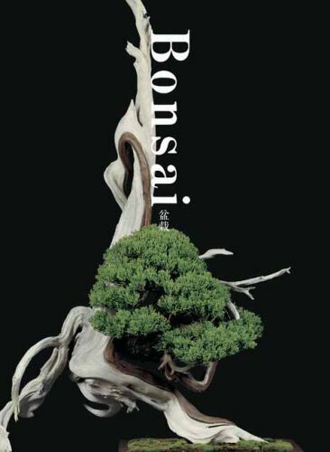 Bonsai paperback by - bonsai,,