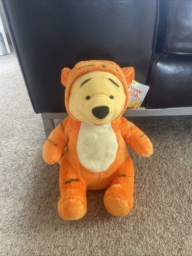 Winnie the pooh teddy bear - pooh,