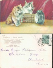 Two cats with books and an alarm clock 1904 postmark Animals
