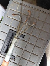 Garden Hand Rake Metal