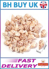 40g aquarium snail - 40g, shells