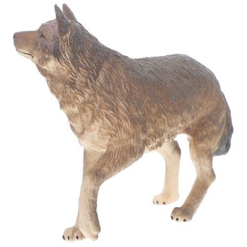Wildlife animal model wolf - wildlife,