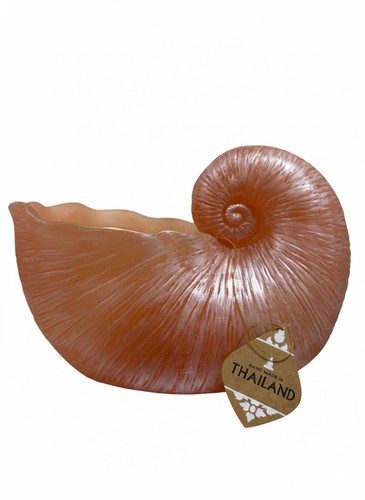 Hand made nautilus shell - made,