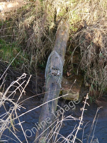 Photo 6x4 fenn trap near - photo,