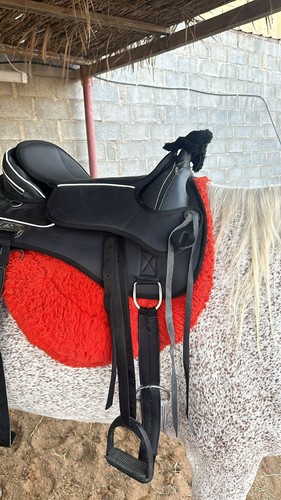 Horse saddle western - horse,