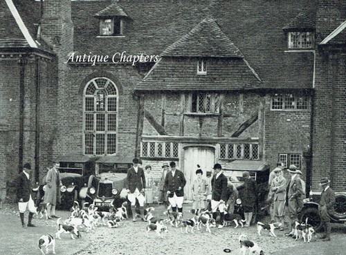 Guildford shere beagles the - guildford, &