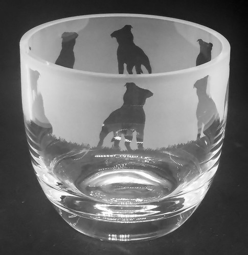 Staffordshire bull terrier - staffordshire,