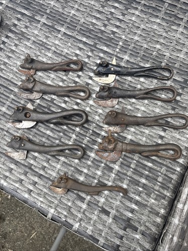 Antique cast iron bulls - antique,