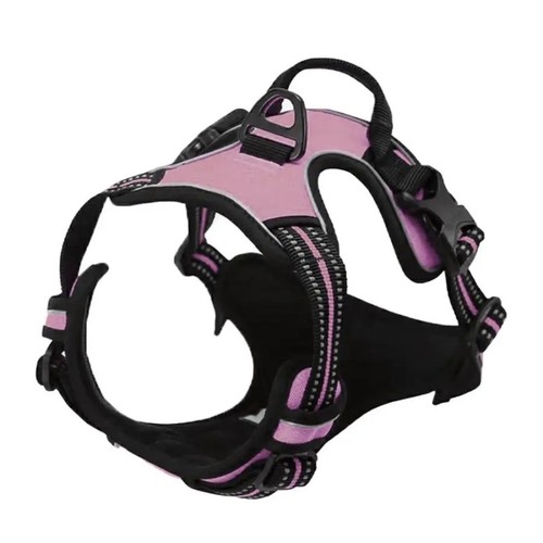 Dog harness pull - dog,