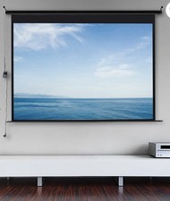 Large Electric Motorized