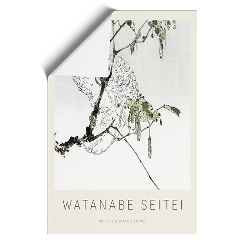 White cockatoo watanabe seitei - white,